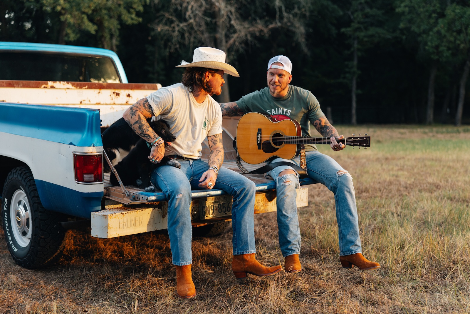 Collaboration work  -  tailgate, guitar, dog.