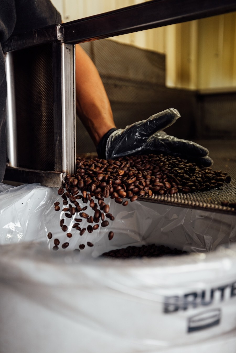 Beans off the belt.
