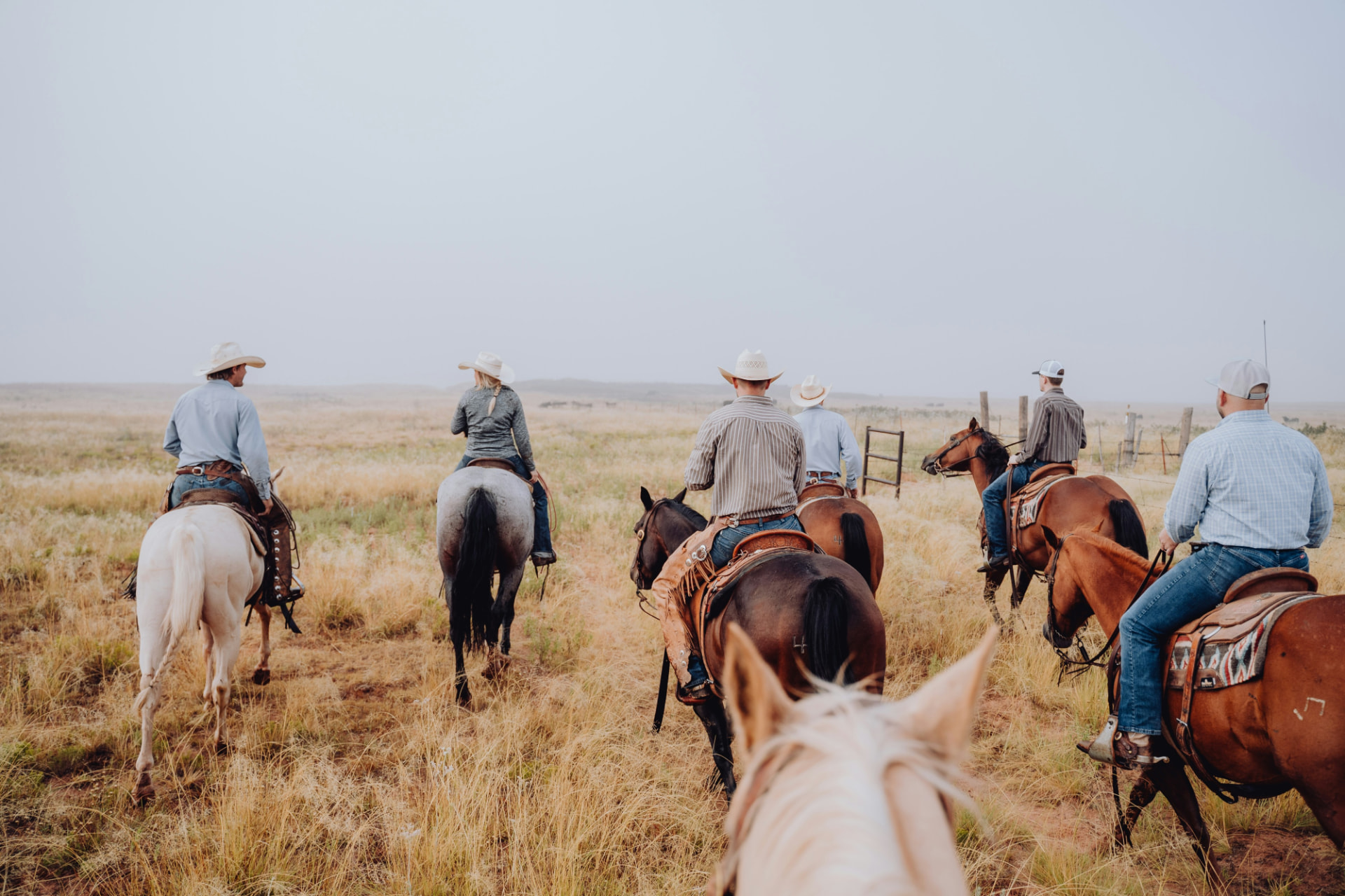 Ranch rodeo action with riders and a steer in the arena