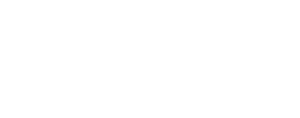 Burlebo logo