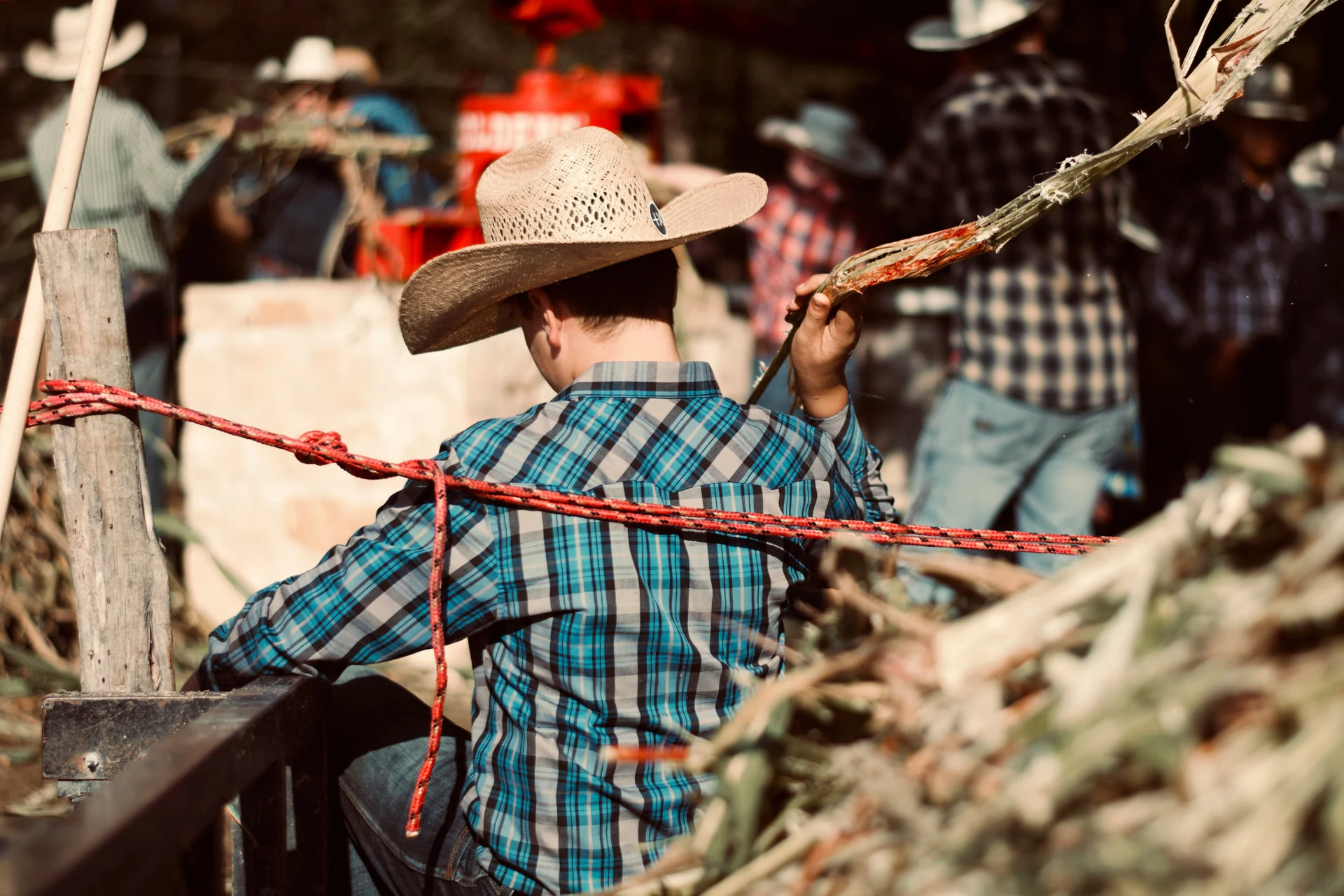 A rider roping in the arena